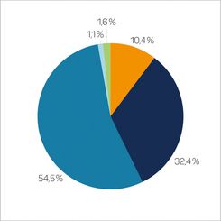 10,4 % Kernenergie; 32,4 % Kohle; 54,5 % Erdgas; 1,1 % Sonstige fossile Energieträger; 1,6 % Erneuerbare Energien, mit Herkunftsnachweis, nicht finanziert aus der EEG-Umlage