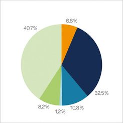6,6 % Kernenergie; 32,5 % Kohle; 10,8 % Erdgas; 1,2 % Sonstige fossile Energieträger; 8,2 % Erneuerbare Energien, mit Herkunftsnachweis, nicht finanziert aus der EEG-Umlage; 40,7 % Erneuerbare Energien, finanziert aus der EEG-Umlage