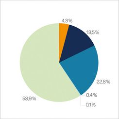 4,3 % Kernenergie; 13,5 % Kohle; 22,8 % Erdgas; 0,4 % Sonstige fossile Energieträger; 0,1 % Erneuerbare Energien, mit Herkunftsnachweis, nicht finanziert aus der EEG-Umlage; 58,9 % Erneuerbare Energien, finanziert aus der EEG-Umlage